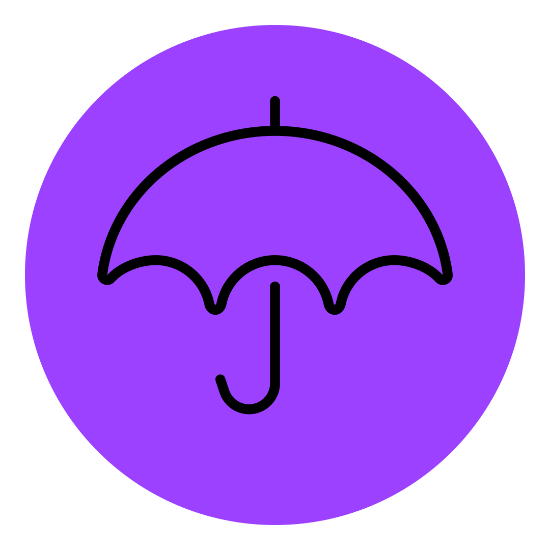 enterprise insurance icon
